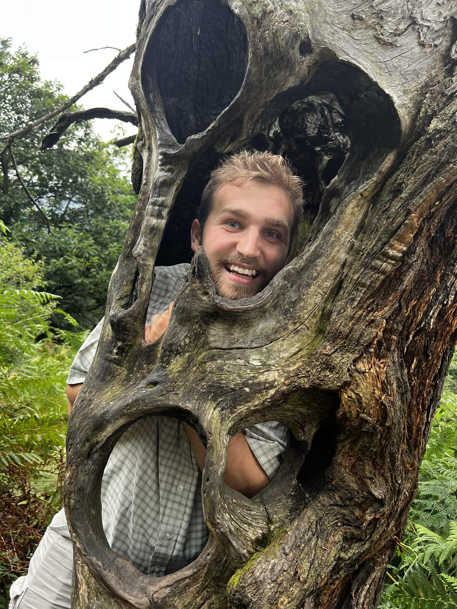 Gustav Emil Holm Simonsen